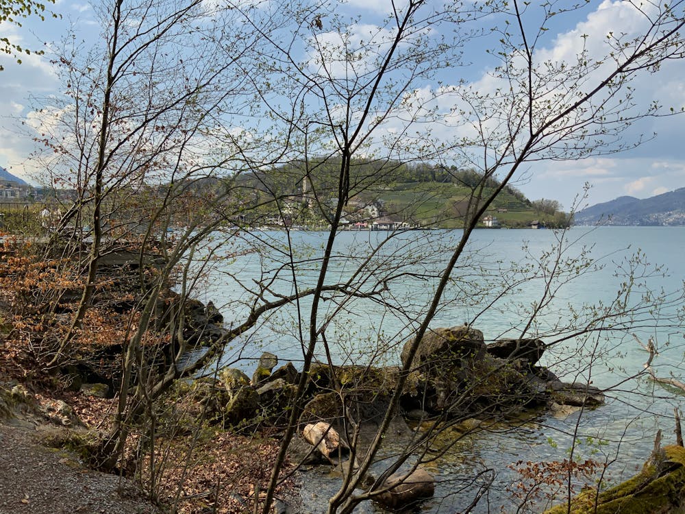 热门动漫3